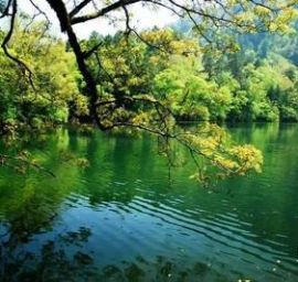 美丽的甲勿海风光