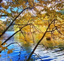 美丽的甲勿海风光