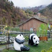 大熊猫保护研究园