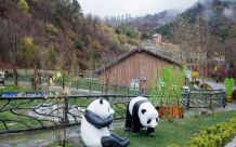 大熊猫保护研究园